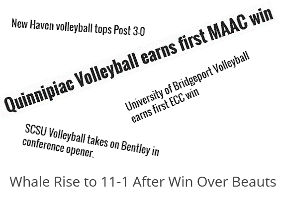 A collage of Sportzedge Article Titles